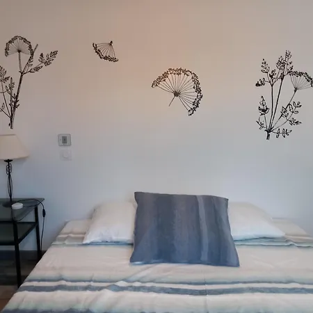 Belle Arcachonnaise Audenge