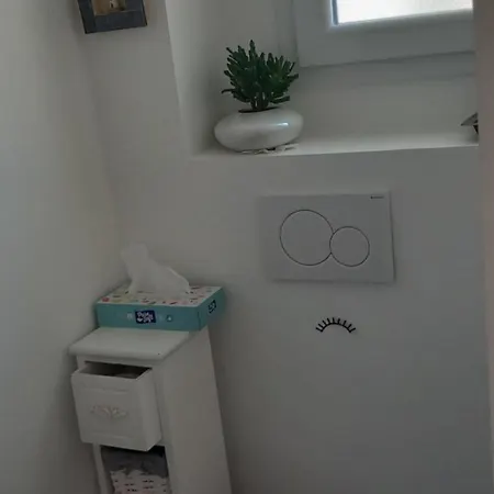 Belle Arcachonnaise Hébergement de vacances *