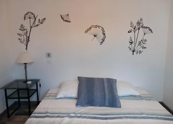 Belle Arcachonnaise 오덴쥐