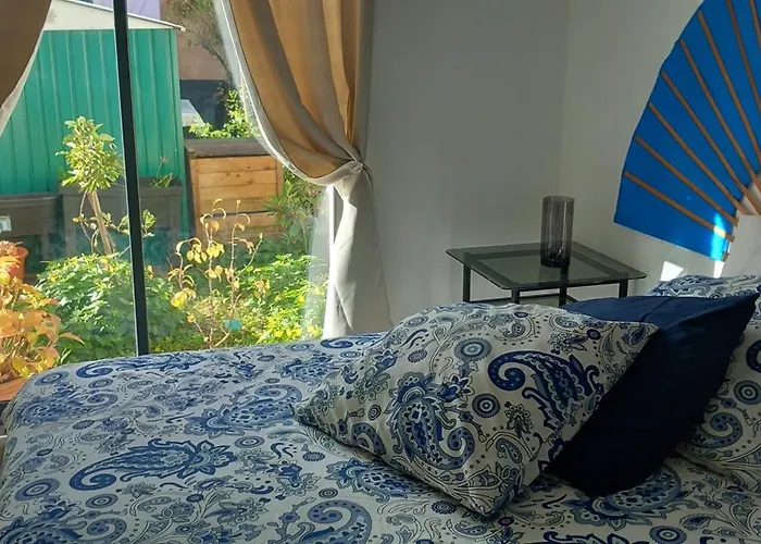 Belle Arcachonnaise 오덴쥐